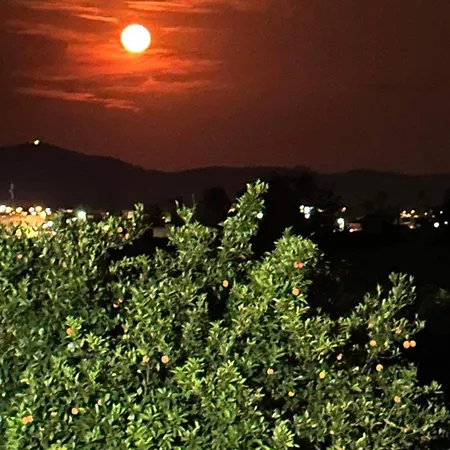 Lidas Golden View-all Around Veranda Apartamento