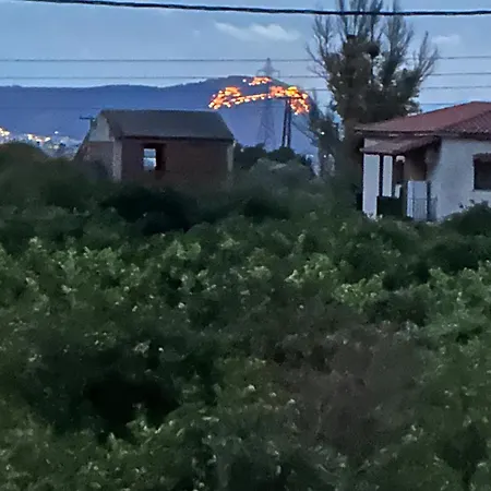 Lidas Golden View-all Around Veranda *