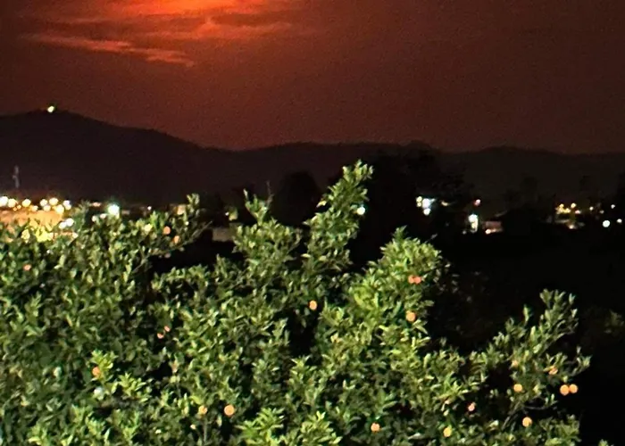 Lidas Golden View-all Around Veranda Lägenhet