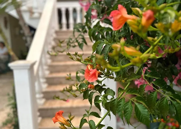 Lidas Golden View-all Around Veranda Lägenhet