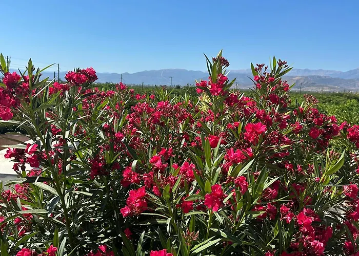 Lidas Golden View-all Around Veranda * Nafplio