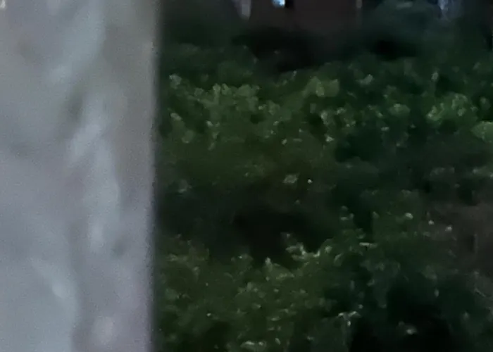 Lidas Golden View-all Around Veranda Apartmán